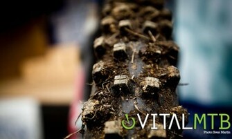 Vital Mtb Desktop Wallpaper Mountain Bikes Feature Stories
