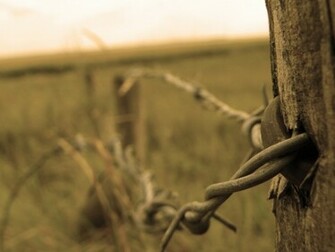 Man Made Barb Wire Wallpaper