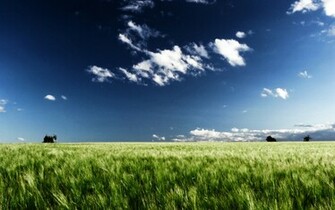 New Zealand Scenery Wallpaper Collection HD