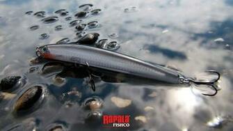 Rapala Wallpaper Galleryhip The Hippest Pics