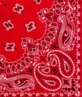 Red Bandana Print Paisley