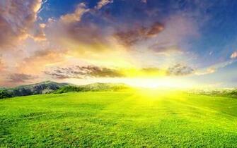 Green Meadows Wallpaper And Image Pictures Photos