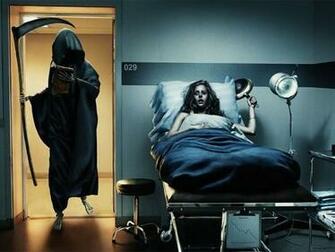 Totally Hilarious And Epicly Weird Wallpaper Creative Fan