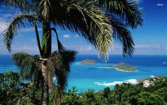 Saint Thomas Wallpaper