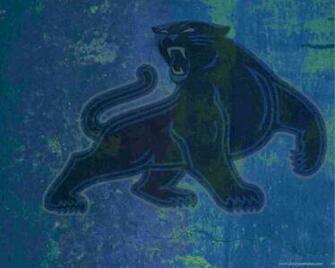 Carolina Panthers