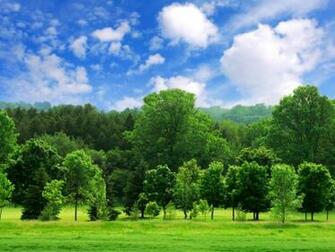 Summer Season Wallpaper One HD Pictures