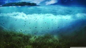 Life Aquatic Wallpaper HD Background HDesktops