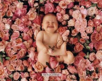 Anne Geddes Baby Wallpaper Sfondi Di