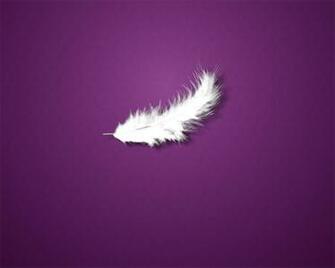 Beautiful Feathers Wallpaper And Pictures One HD