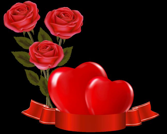 Roses Pink Roze Rosa Rose Beautiful Flowers