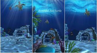 Ocean 3d Live Wallpaper Is A Very Vivid Undersea Which Will