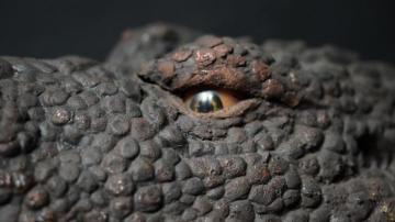 Original Godzillasaurus Head Godzilla