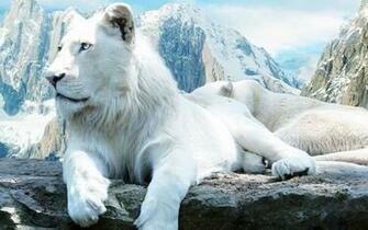 White Lion Wallpaper 4usky
