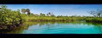 Rare Florida Scenery A Photo From South Trekearth