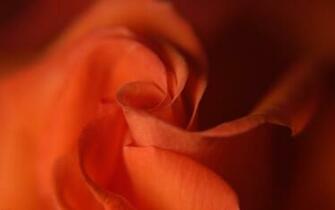Screensaver Postfix Mysql Mandolux Mac Spoofing Gallery