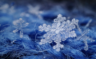 Picture Snowflakes Macro Closeup Wallpaper
