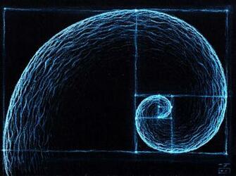 Golden Ratio By Bdoroszko