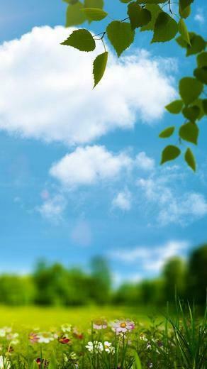 Spring Live Wallpaper Android Apps And Tests Androidpit