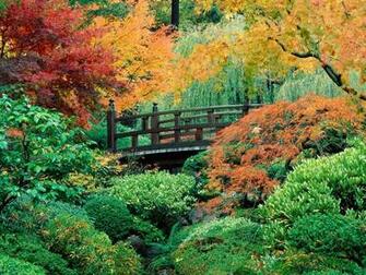 Nature Flowers Gallery Of Beautiful