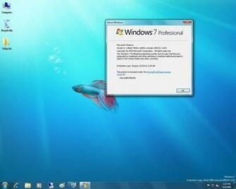 Source Url M Softpedia Windows Build Skus
