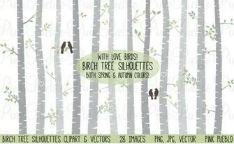 Birch Tree Clipart And Vectors Illustrations On Creative Market