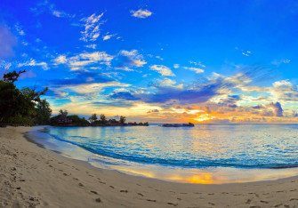 Summer Desktop Background