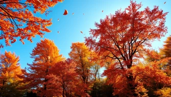 Blue October Wallpaper