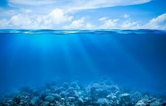 Wallpaper Tropical Coral Reef Underwater Ocean Fishes