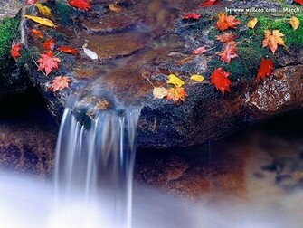 Spring Scene Wallpaper Photo