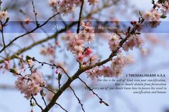 King James Kjb Versed Christian Wallpaper