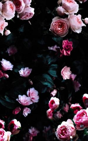 Ideas For Floral Background To Decorate Your Screen With