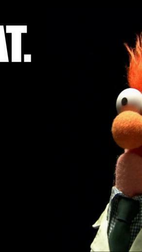 Beaker Muppets Wat HD Wallpaper General