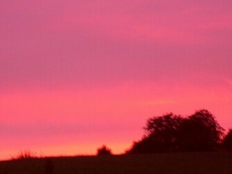 Dark Pink Sunset Wallpaper