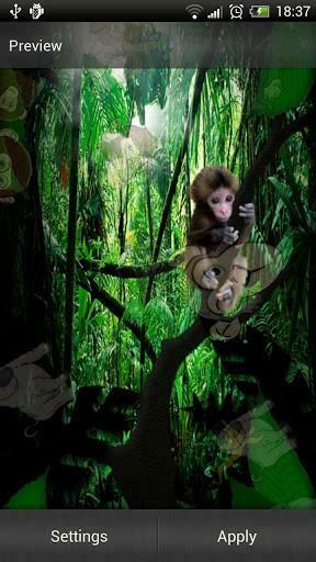 Monkey Live Wallpaper S Jpg