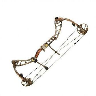 For Elite Archery Wallpaper Displaying Image