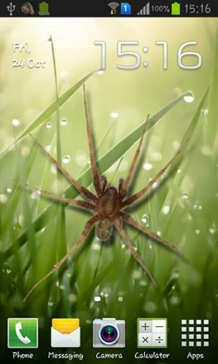 Spider In Phone Live Wallpaper Screenshots How Does It Look