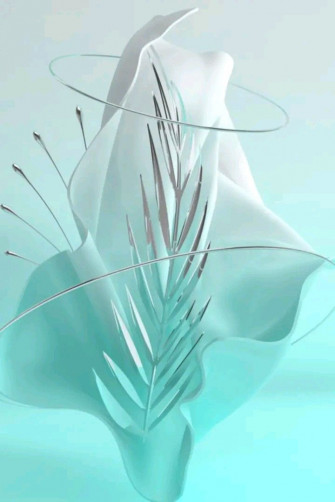 White Flower iPhone Wallpaper
