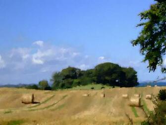 Irish Countryside