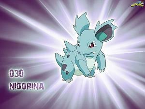Nidorina Wallpaper