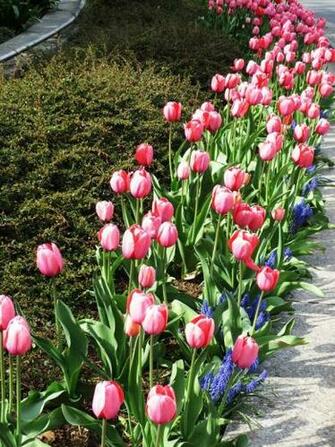 Spring On Columbus National Geographic Photo Contest