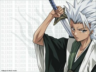 T Shir Hitsugaya Es Ni O