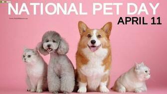 Best National Pet Day Quotes Wishes Captions