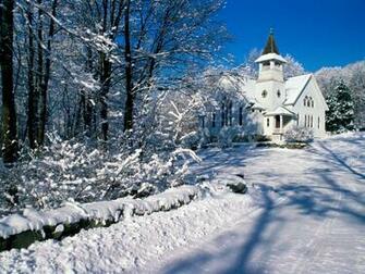Winter Background HD Wallpaper Background