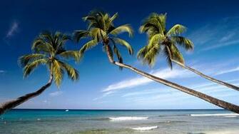 Wallpaper King S Beach West Coast Barbados Indies