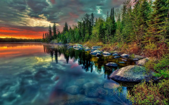 Live Desktop Wallpaper