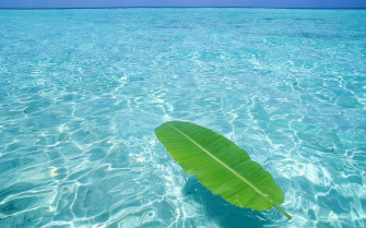 Clear Ocean Water Wallpaper For Your