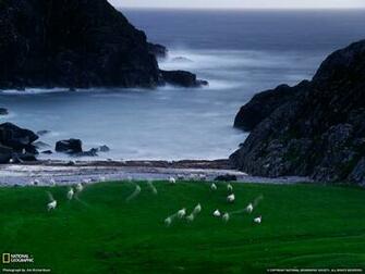 Scotland Wallpaper
