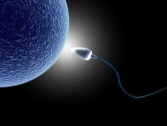 Sperm Abstraction Abstract Bokeh Life Sex Sexual Medical