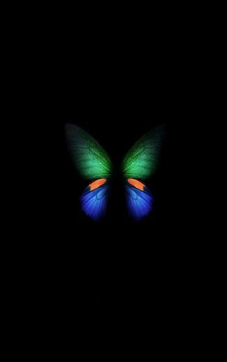 Samsung Galaxy Fold Green Blue Butterfly Artwork
