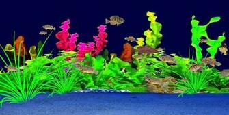 3d Sunfish Screensaver